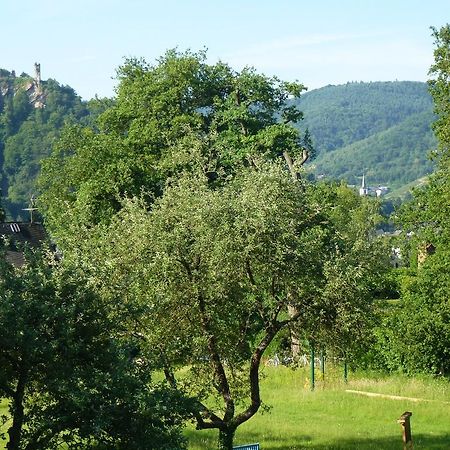 Feriendomizil Im Plantert Apartman Traben-Trarbach Kültér fotó